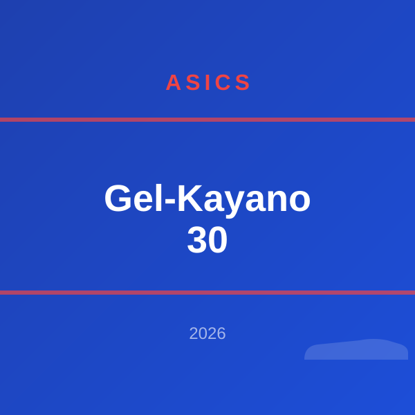 Gel-Kayano 30